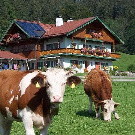Staufenblick Roof In The House * Inzell